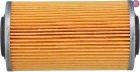 745061268227 1-YEAR Quicksilver Micron Oil Filter Marine