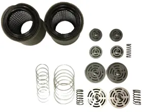 Z614 AFTERMARKET CHAMPION Head Rebuild Valves Kit