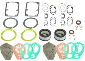 TF006900AJ AFTERMARKET SPEEDAIRE Tune Up Valve Plate Pumps