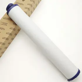 2258294114 ALIPASTOR Filter Element #2