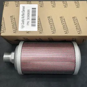 3442.516.4 ALIPASTOR Air Dryer Muffler Mpt