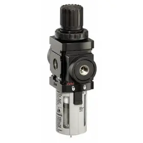 P39124-200 ARO Filter Regulator