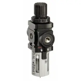 P39333-110 ARO Filter Regulator