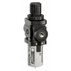 P39464-110 ARO Filter Regulator