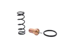 6229-0383-00 ATLAS COPCO Thermostatic Valve Kit