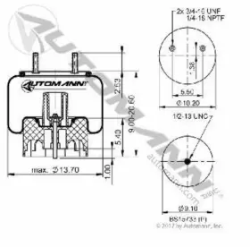 AB1DK25E-8713 AUTOMANN Air Spring