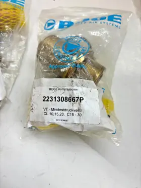 2231308667P BOGE Pressure Valves