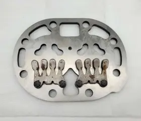 06EA404944 CARRIER Valve Plate Piston Compressors