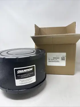 DSC-001961 CHAMPION Air Filter