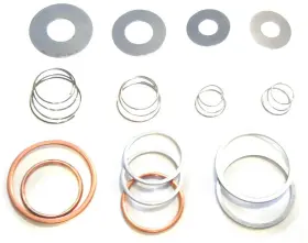 Z-101 CHAMPION Valve Rebuild Air Compressor Kit #3