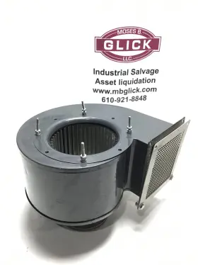 MG1104125172010 DAYTON Centrifugal Blower