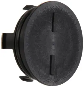 12513-P72-003 HONDA Cylinder Head Plug #2