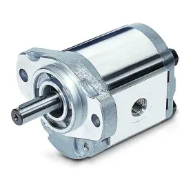 1AG2U01R HONOR Hydraulic Gear Pump