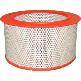 685757079716 INDUSTRIAL GOLD Element Airend Air Filter