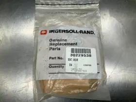 30229538 INGERSOLL RAND Seat Valve