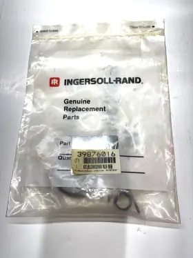 39876016 INGERSOLL RAND Blowdown Valve Repair Kit