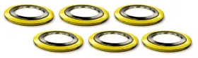 SSI900014304GR300X6 LAMONS Sterling Seal Spiral Wound Gasket