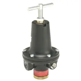 R119-06C PARKER-WATTS Npt Pressure Regulator Flow