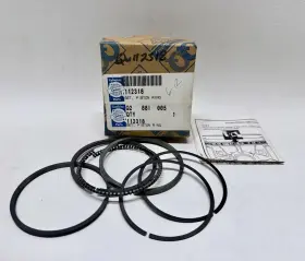 112318 QUINCY Piston Ring Set