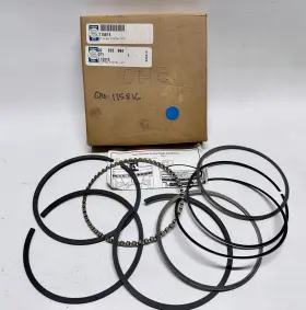 115816 QUINCY Piston Ring Set