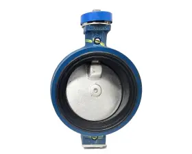 1624562286 QUINCY Valve Butterfly Act