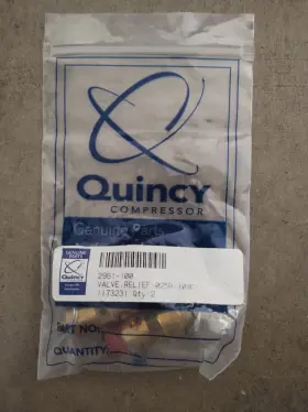 2961-100 QUINCY Compressor Valve Relief Npt