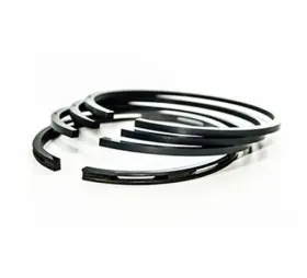 830.0823-0 SCHULZ High Pressure Ring Pump Kit