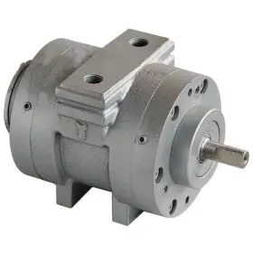 22UX62 SPEEDAIRE Air Motor Cfm Rpm
