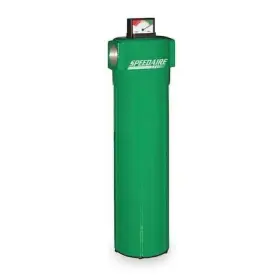 4GNZ2 SPEEDAIRE Pneumatic Oil Filter Npt Cfm