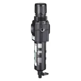 4ZK85 SPEEDAIRE Filter Regulator Cfm