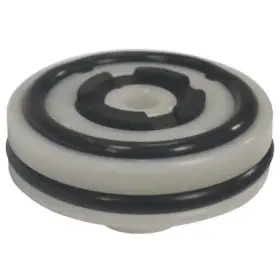 PN31CCP28G SPEEDAIRE Piston