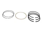Piston Ring Set 8166, 2022115101 For Quincy Models 255, 270, 4125, 325 & 330. Fixed Price $56.00.