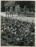 1967 Press Photo Five Girls Take A Stroll Through Public Gardens In Boston. Fixed Price $24.99.