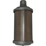 38054524 Air Dryer Muffler, 1" Npt, Relief Valve, Ingersoll Rand Oem Equivalent. Fixed Price $94.04.