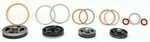 Z102 Champion Complete Valve Kit With Gaskets For R15 Pump 22nn77 R15a /. Fixed Price $160.36.