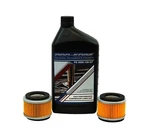 Replacement Start Up/ Maintenance Kit For Ingersoll Rand 97338099, Ss3 Pumps. Fixed Price $58.95.