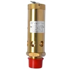 Safety Valve 72062185 For Ingersoll Rand Compressor. Fixed Price $137.00.
