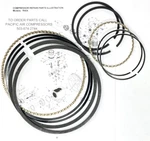 Z9109 Champion Complete Compressor Pump Ring Set Model R40a Z9088 & Z9087. Fixed Price $176.58.