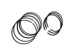 8450 Complete Piston Ring Set For Saylor Beall Model 9000. Fixed Price $227.76.