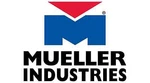 Mueller Industries A15620 1/4 Inch Female Inline Check Valve. Fixed Price $50.60.