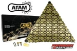 Yamaha Fs1e 50 Dx 1977-1979 Afam R1 Non O-ring Gold Chain 420x100 + Joining Link. Fixed Price $27.08.