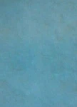 22421853 Replacement Ingersoll Rand Soft Filter Pad 18" X 12". Fixed Price $19.79.