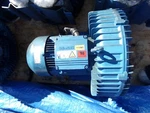 Nash Elmo Vacuum Blower G 200 2bh1690-7ah26-z Gardner Denver (or40). Fixed Price $300.00.