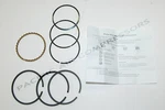 8166, 2022115101 Quincy Piston Ring Set Replacement Parts. Fixed Price $58.08.