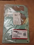 2, Gardner Denver Gasket W/ Sieve Vca/e-15 3135926000 - Fast Ship. Fixed Price $49.00.