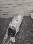 One 937398q Hydraulic Filter Element For Parker New. Fixed Price $100.00.