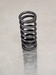 Gardner Denver 2010245 Apogaa Air Compressor Spring (ingersoll Rand 19trc63-37). Fixed Price $135.00.