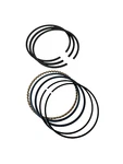 Complete Hp & Lp Piston Ring Sets 8166 + 8161 For Quincy Models 325 330. Fixed Price $92.56.