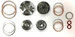 Champion Complete Valve Set W/ Gaskets For Model Ren10, Ren-10, Z101. Fixed Price $143.26.