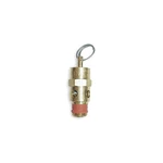 Control Devices St25-1a200 Air Safety Valve,1/4" Inlet, 200 Psi 5a710. Fixed Price $85.70.